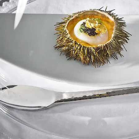 Slovenija - Terme & Wellness Lifeclass 5* ポルトローシュ